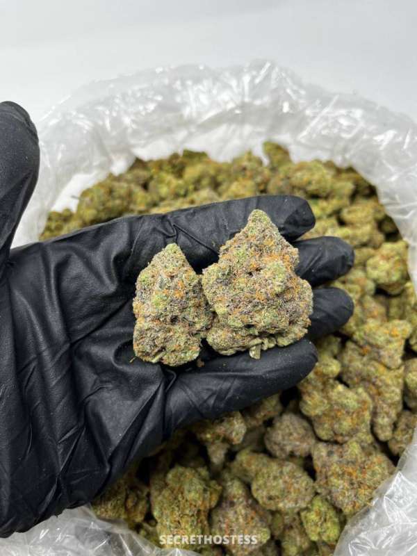 Donna 25Yrs Old Escort Size 8 165CM Tall Orlando FL Image - 7