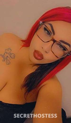 Alizaee 23Yrs Old Escort Santa Maria CA Image - 3