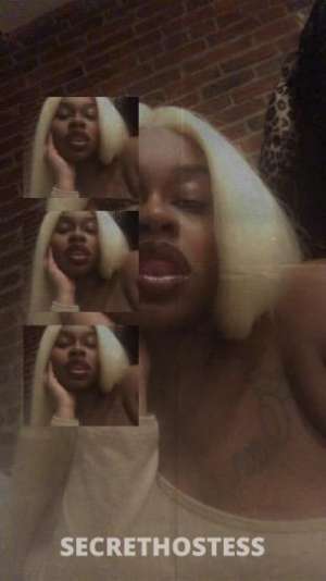 Bambi 23Yrs Old Escort Wilmington DE Image - 1