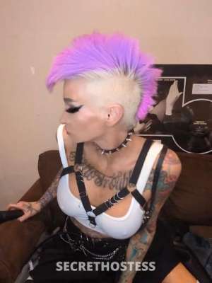 Danidrake 49Yrs Old Escort San Fernando Valley CA Image - 6