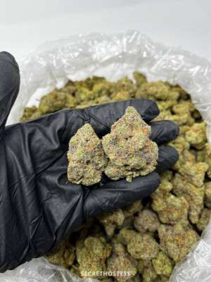 Donna 25Yrs Old Escort Size 8 165CM Tall Orlando FL Image - 7