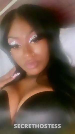 Emily 24Yrs Old Escort San Mateo CA Image - 9