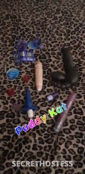 PuddyKat 29Yrs Old Escort Tucson AZ Image - 8