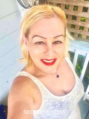 Star 36Yrs Old Escort North Bay CA Image - 1