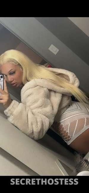 Suzie Anne 22Yrs Old Escort Phoenix AZ Image - 1