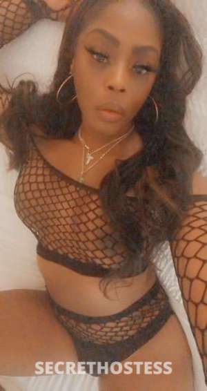 Telli 26Yrs Old Escort Bismarck ND Image - 0