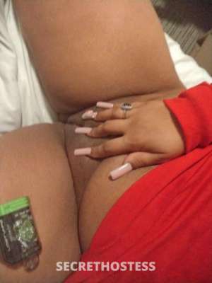 $kittles 24Yrs Old Escort Birmingham AL Image - 5