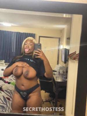 23Yrs Old Escort Corpus Christi TX Image - 2