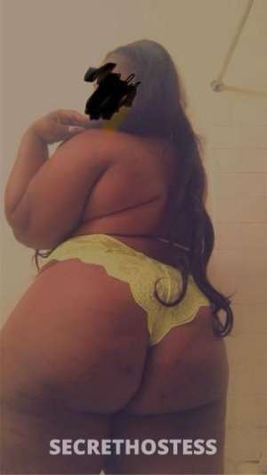 AMOURE 29Yrs Old Escort Minneapolis MN Image - 0