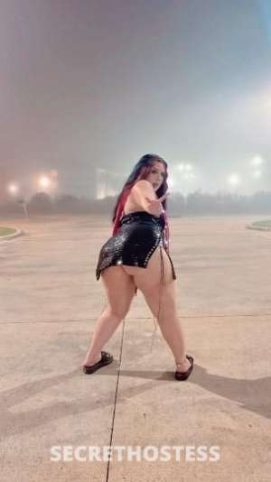 Alana 22Yrs Old Escort Lake Charles LA Image - 0