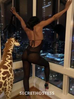 25 year old Escort in San Francisco CA I'm Alexis - Your Ultimate Fun Companion