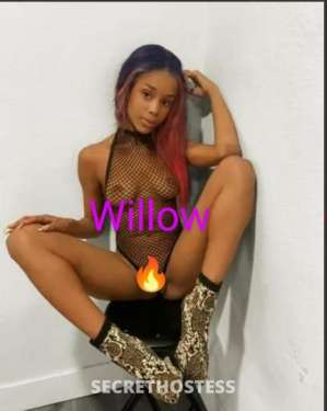 AnaMarie&Willow 26Yrs Old Escort Jackson MS Image - 8