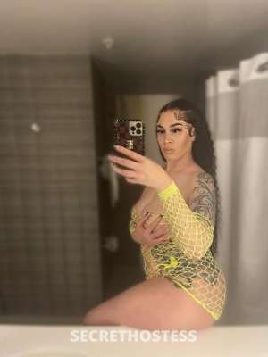 Ariel 25Yrs Old Escort San Francisco CA Image - 2