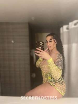 Ariel 25Yrs Old Escort San Francisco CA Image - 4