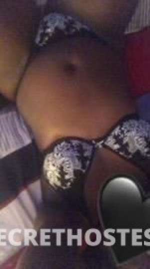 Bailey 25Yrs Old Escort Toledo OH Image - 2