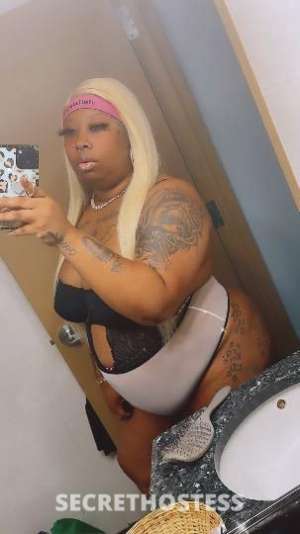 Benz 29Yrs Old Escort Hudson Valley NY Image - 1