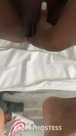 Deja 20Yrs Old Escort Bronx NY Image - 5