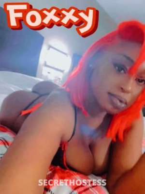 Foxy 25Yrs Old Escort Dover DE Image - 1