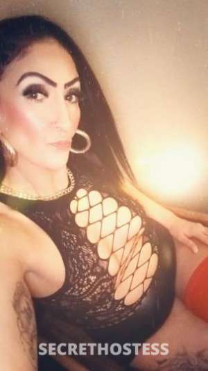 GLAZE 32Yrs Old Escort Concord CA Image - 1