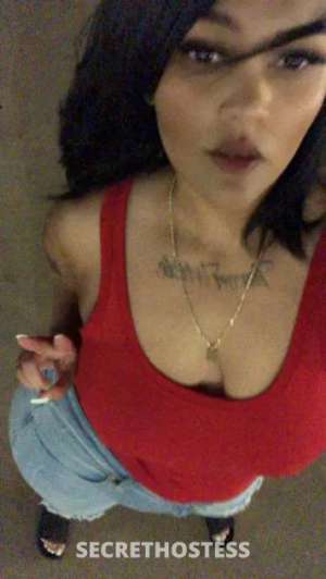 Gabbz 25Yrs Old Escort Wichita KS Image - 2