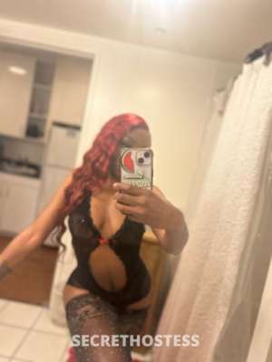 HONEY 22Yrs Old Escort San Francisco CA Image - 1