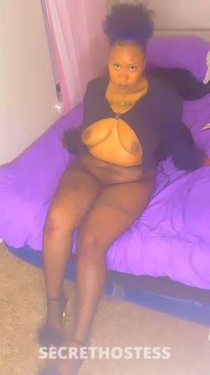 Honeybun 23Yrs Old Escort Shreveport LA Image - 2