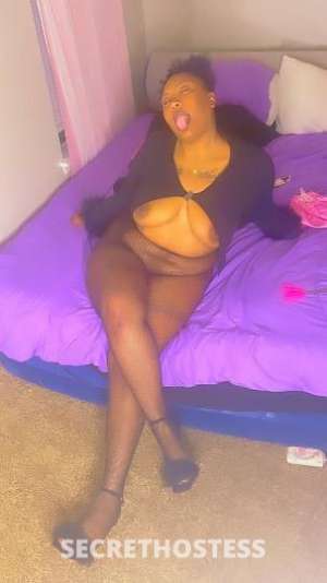 Honeybun 23Yrs Old Escort Shreveport LA Image - 3