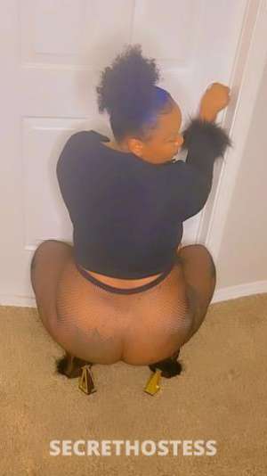 Honeybun 23Yrs Old Escort Shreveport LA Image - 6