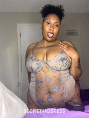 Honeybun 23Yrs Old Escort Shreveport LA Image - 8