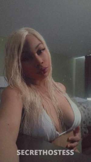 Lotusbaby 23Yrs Old Escort San Jose CA Image - 8