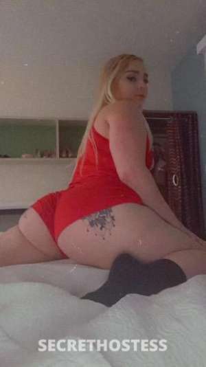 Mercy 22Yrs Old Escort Orange County CA Image - 6