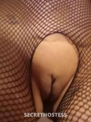 Milfy/Milk-Bone 39Yrs Old Escort Indianapolis IN Image - 8