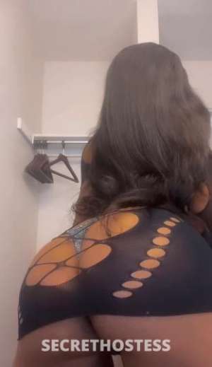 Naomi 20Yrs Old Escort Harrisburg PA Image - 3