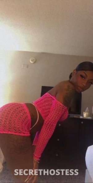 Nikki 24Yrs Old Escort Southern Maryland DC Image - 0