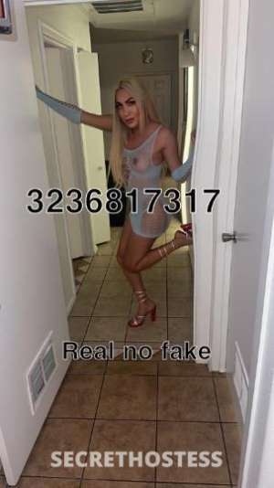 Ninel 28Yrs Old Escort Monterey CA Image - 4