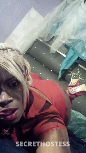 OnyxLewinsky 30Yrs Old Escort Wichita KS Image - 5