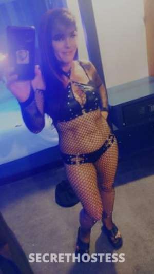 QueenTigra 40Yrs Old Escort San Buenaventura CA Image - 8