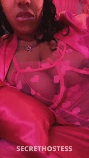 Skyy 27Yrs Old Escort Kalamazoo MI Image - 1