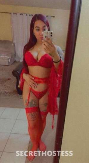 Star 25Yrs Old Escort Myrtle Beach SC Image - 0