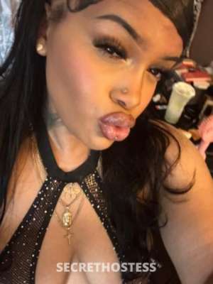 Tinka 21Yrs Old Escort Concord CA Image - 3