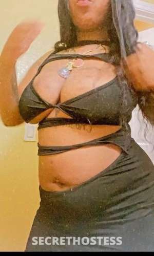 Tracy 24Yrs Old Escort San Fernando Valley CA Image - 0