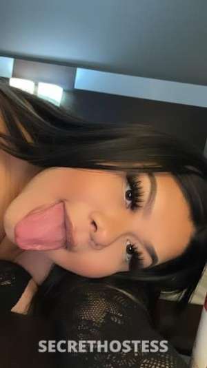 Valeria 22Yrs Old Escort San Jose CA Image - 2