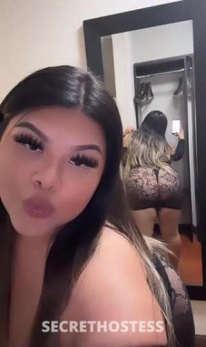 Valeria 22Yrs Old Escort San Jose CA Image - 4