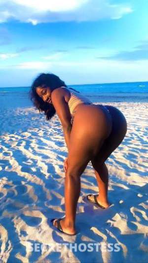 sunny 23Yrs Old Escort Miami FL Image - 6