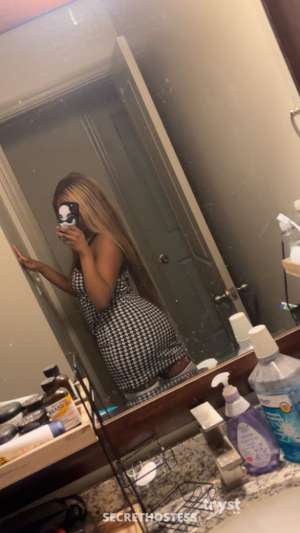 20Yrs Old Escort Size 8 Lexington KY Image - 5