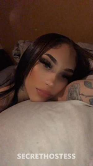 21 year old Escort in Erie PA I'm Your Throat Doctor, Here for Fantasies and Desires