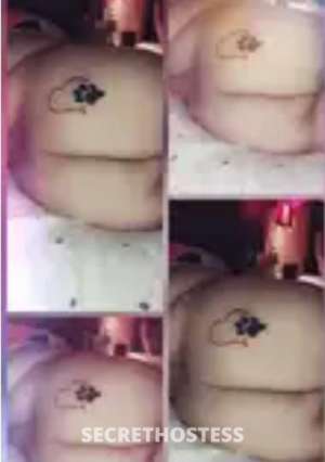 26Yrs Old Escort Fort Lauderdale FL Image - 3