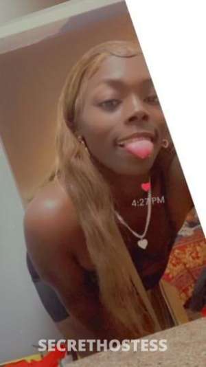 27Yrs Old Escort Tampa FL Image - 2