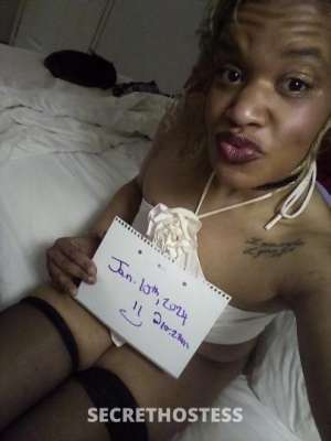 Amina 27Yrs Old Escort Everett WA Image - 1