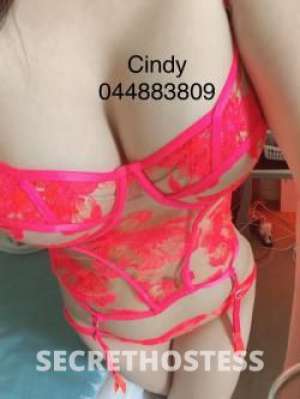 Cindy 29Yrs Old Escort Size 6 Brisbane Image - 4